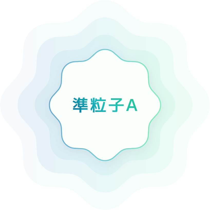 準粒子A